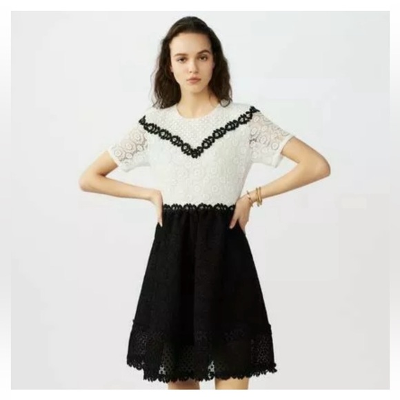 Maje Brand New Two-Tone Renald Lace Skater Dress size 2 | XS/S Fit - Tag on - Picture 2 of 10